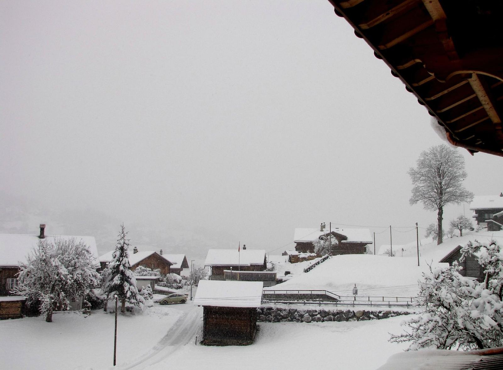 Vor dem Holz in winter