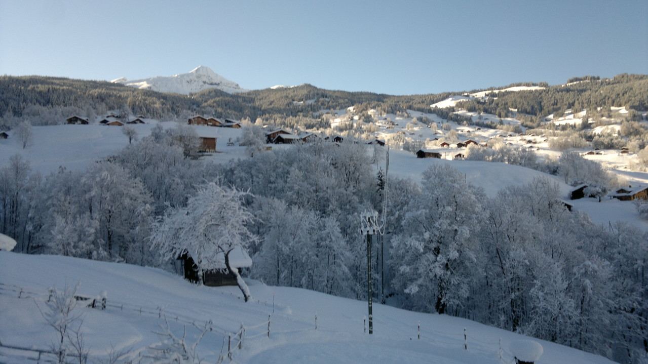 Winter surroundings